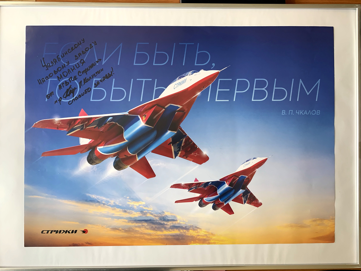 Стрижи - МАКС-2019