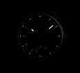 Tribute 1984 TCB 3603S 42 mm manual winding (1)